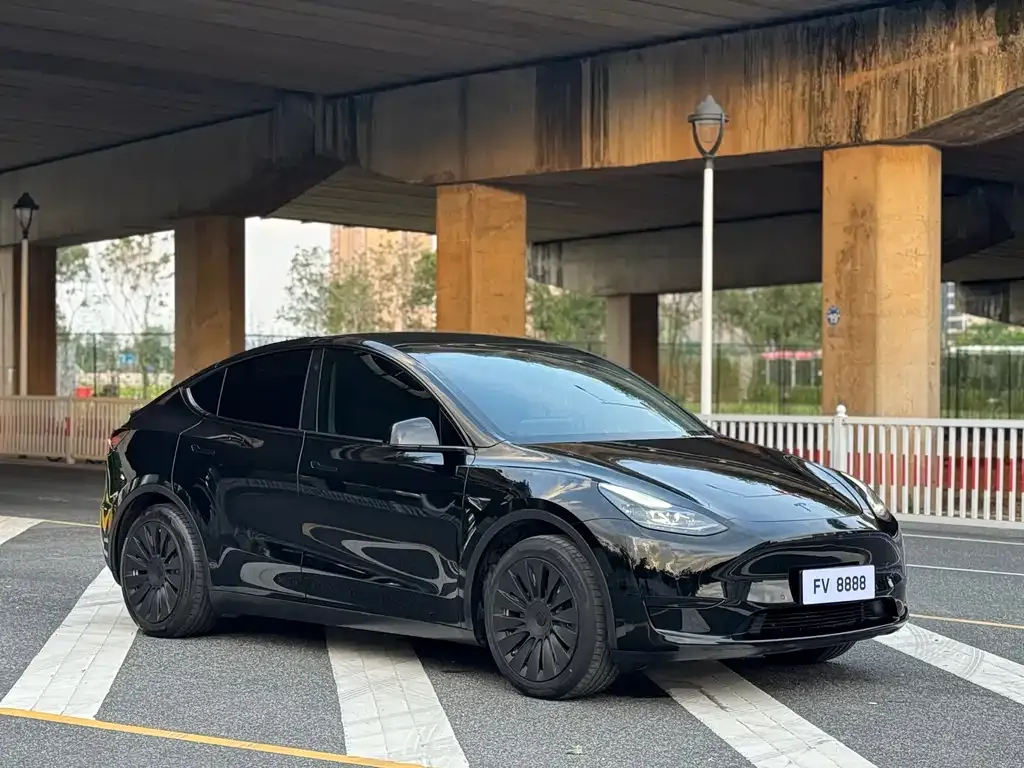 Tesla Model Y — фото 7
