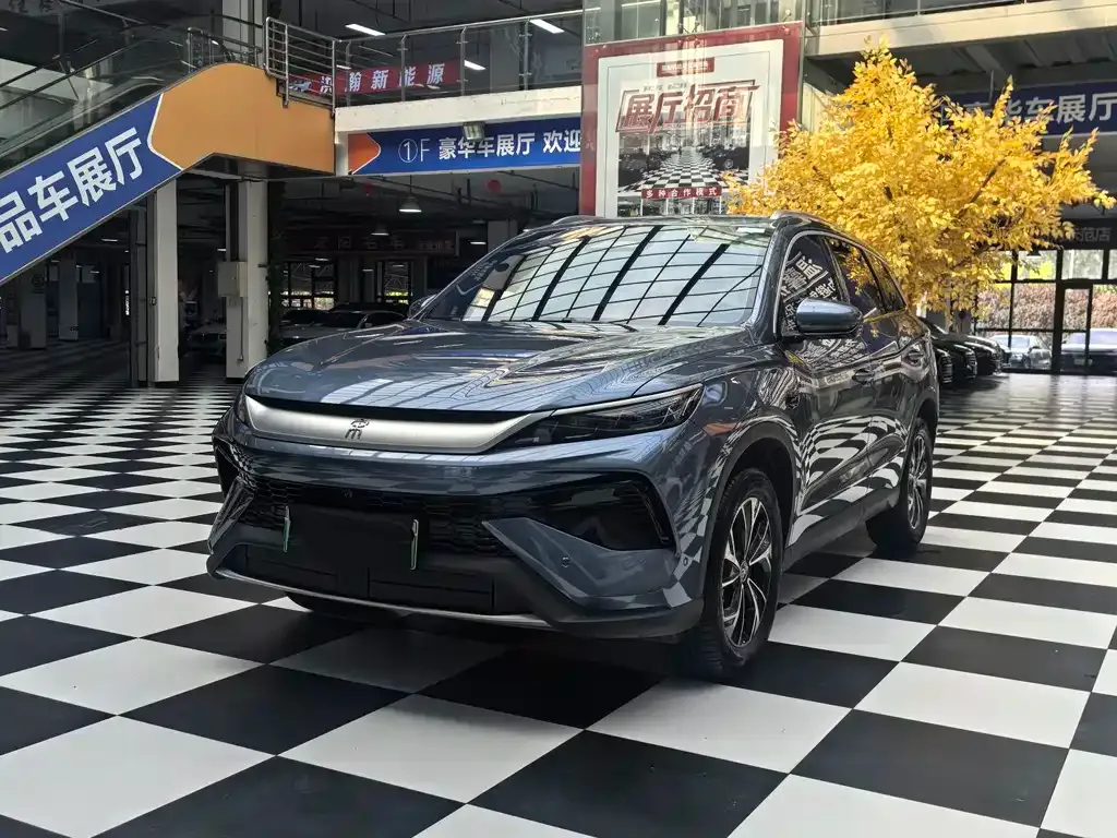 BYD Pro New Energy — фото 1