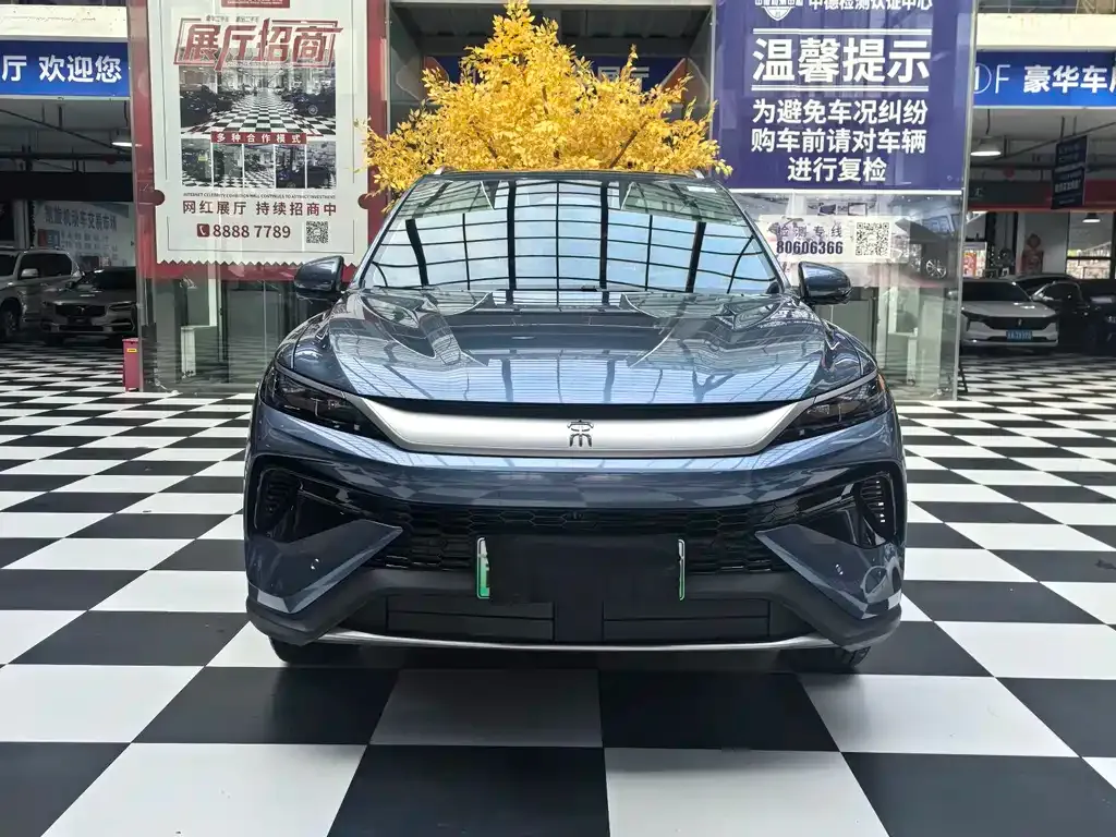 BYD Pro New Energy — фото 3