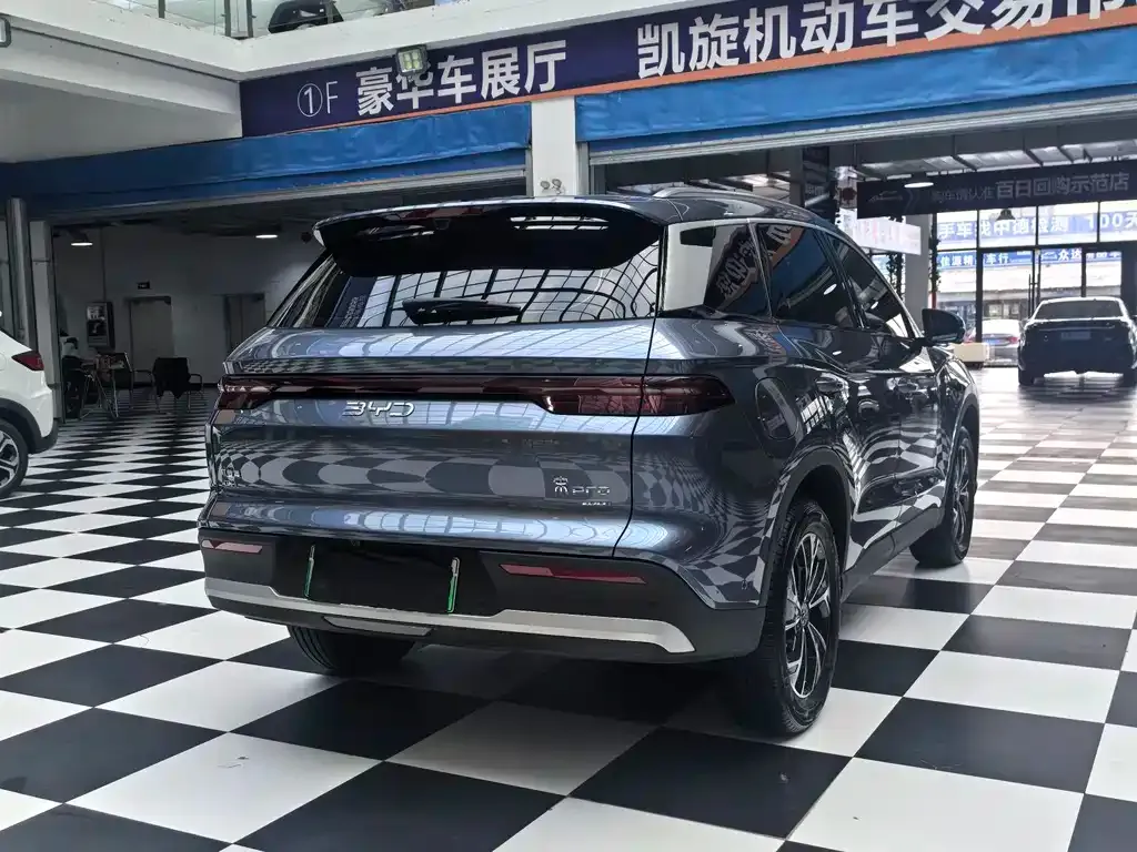 BYD Pro New Energy — фото 5