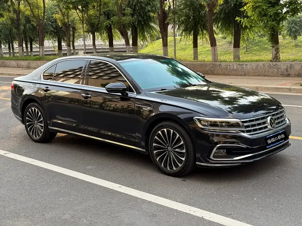 Volkswagen Phideon 2021 из CN, фото 5