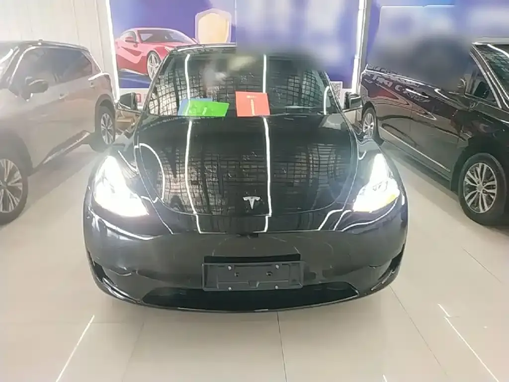 Tesla Model Y — фото 3