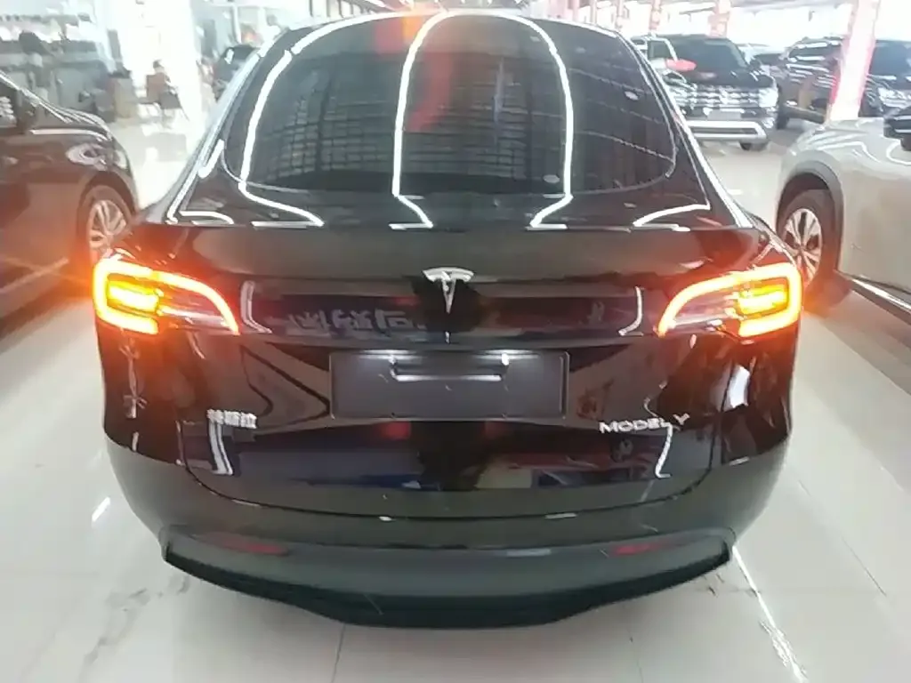 Tesla Model Y — фото 10