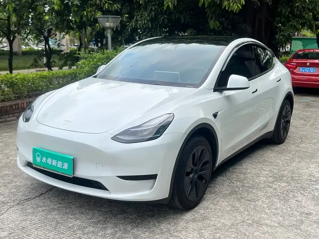 Tesla Model Y — фото 1