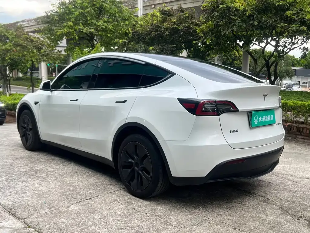 Tesla Model Y — фото 7
