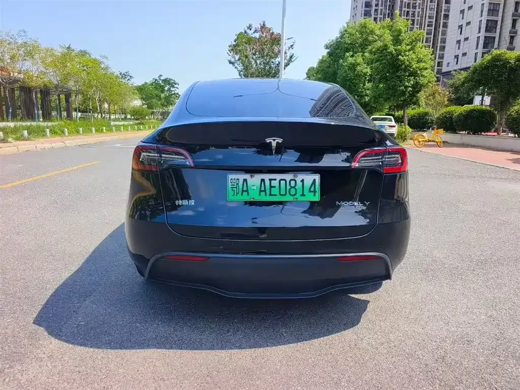 Tesla Model Y — фото 9