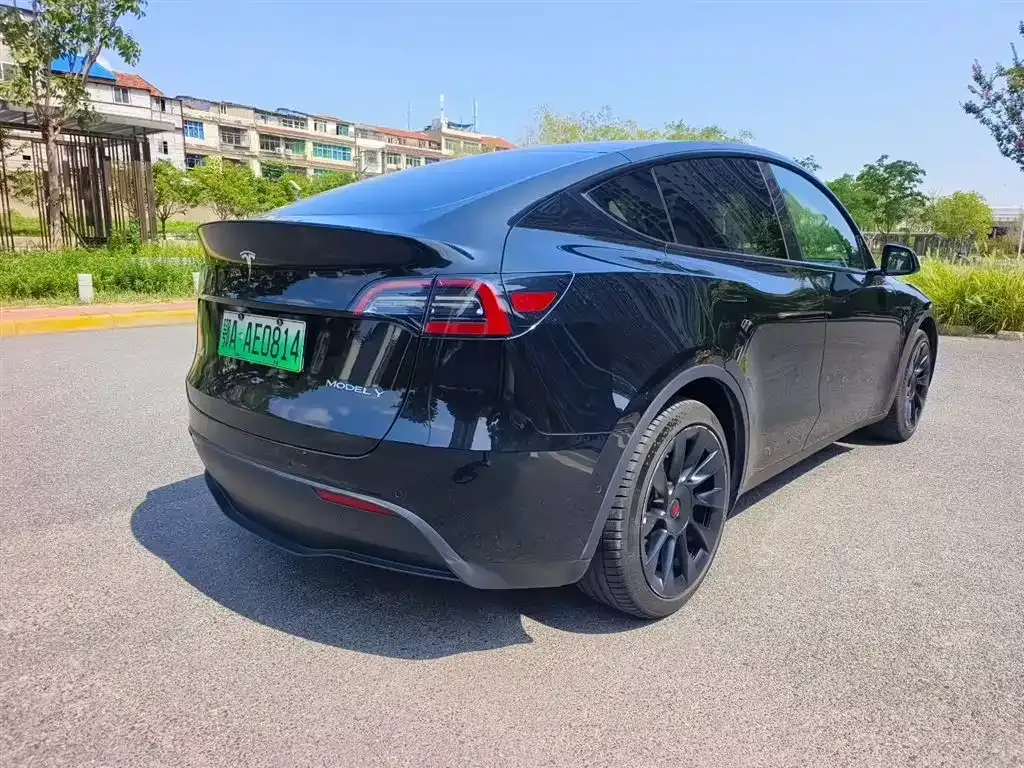 Tesla Model Y — фото 8