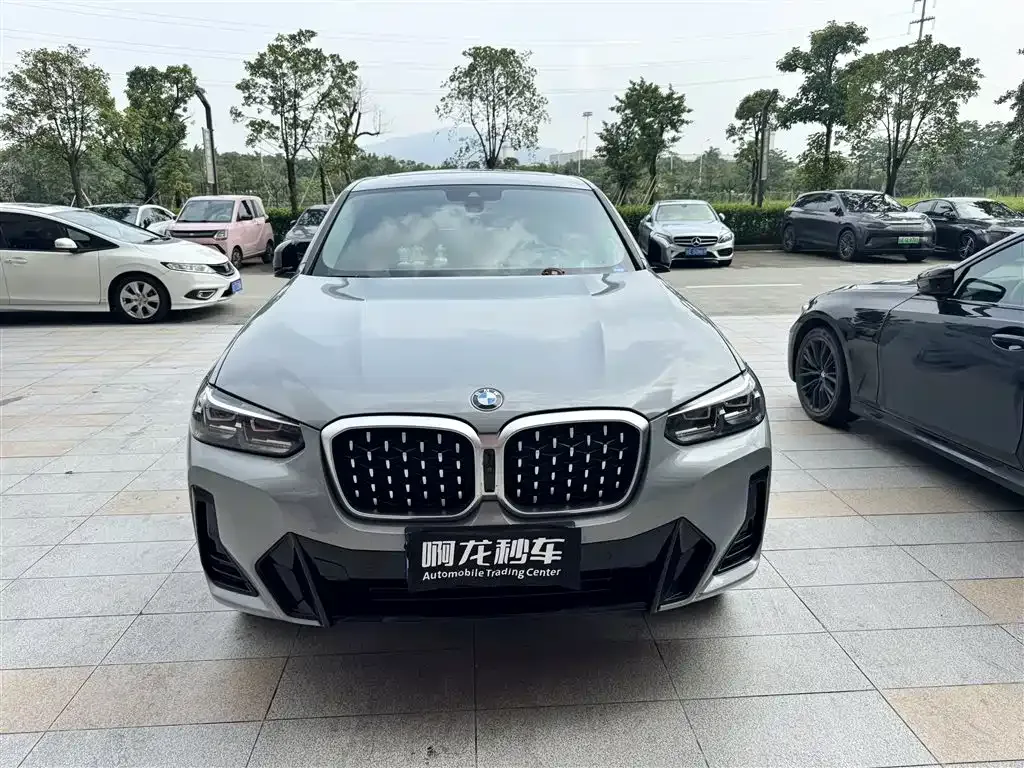 BMW X4 2022 из CN, фото 5