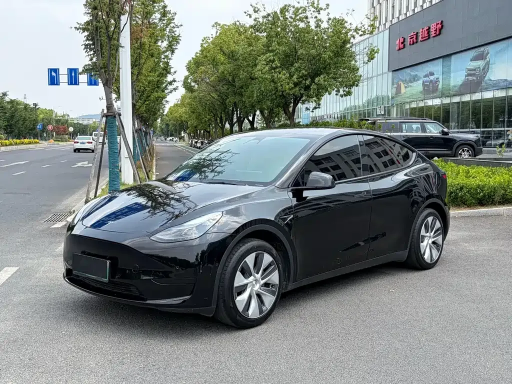 Tesla Model Y — фото 1