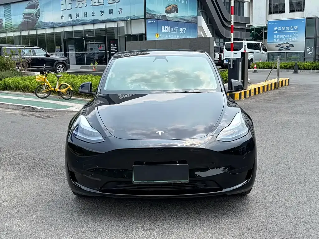 Tesla Model Y — фото 9