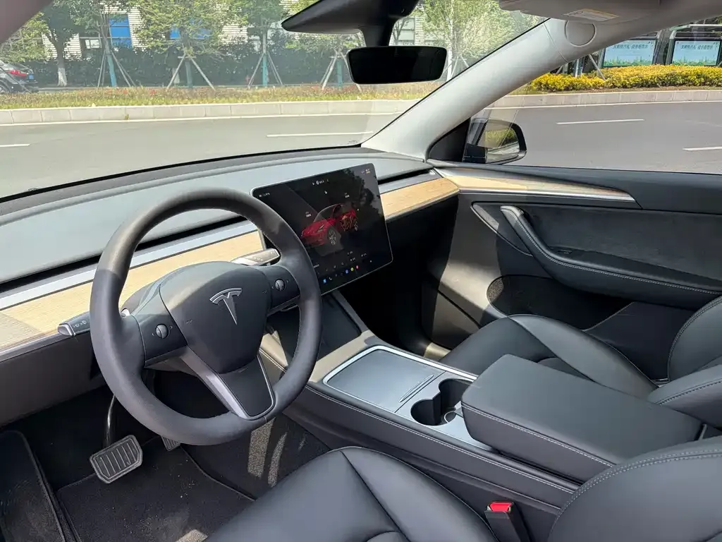 Tesla Model Y — фото 6