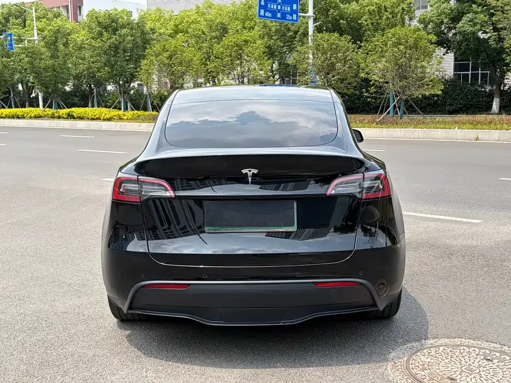 Tesla Model Y — фото 8