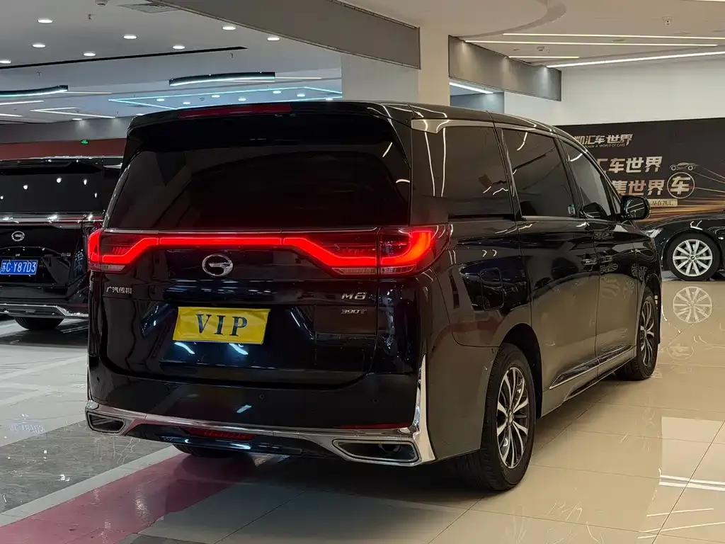GAC Motor Trumpchi M8 2023 из CN, фото 8