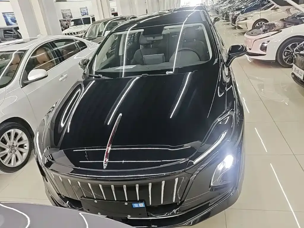 Hongqi E-QM5 — фото 6
