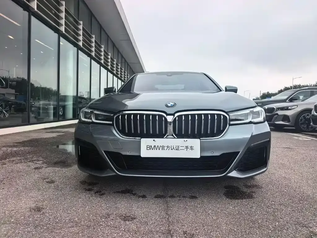 BMW 5 Series (Import) 2022 из CN, фото 4