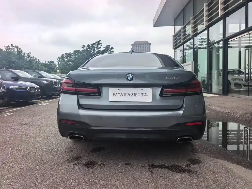 BMW 5 Series (Import) 2022 из CN, фото 2