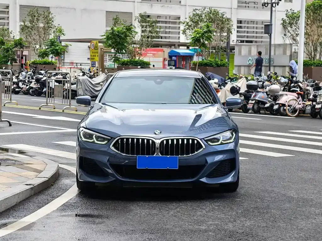 BMW 8 Series 2021 из CN, фото 6