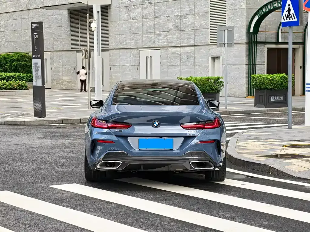 BMW 8 Series 2021 из CN, фото 8