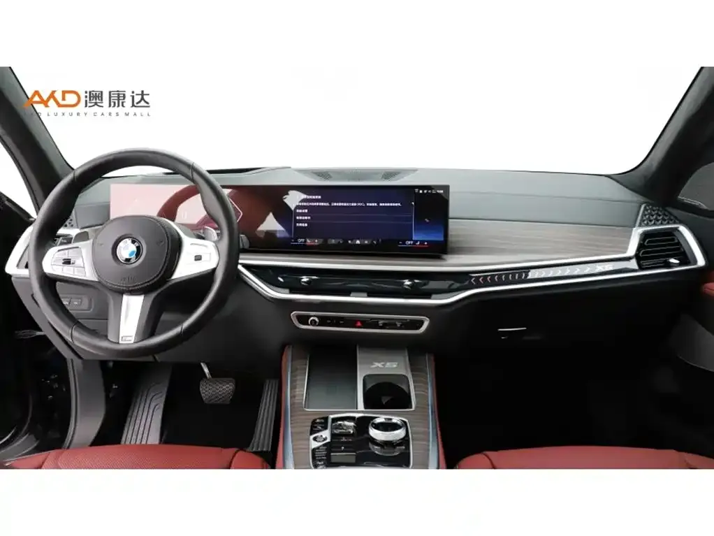 BMW X5 2024 из CN, фото 2
