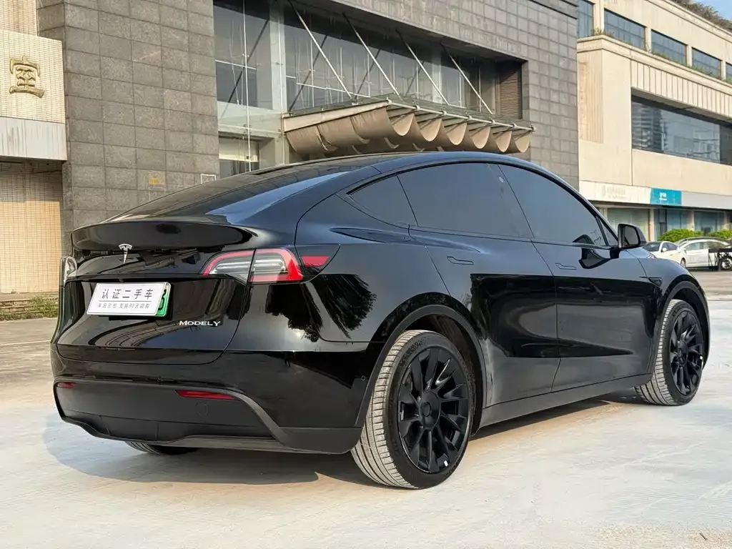 Tesla Model Y — фото 10