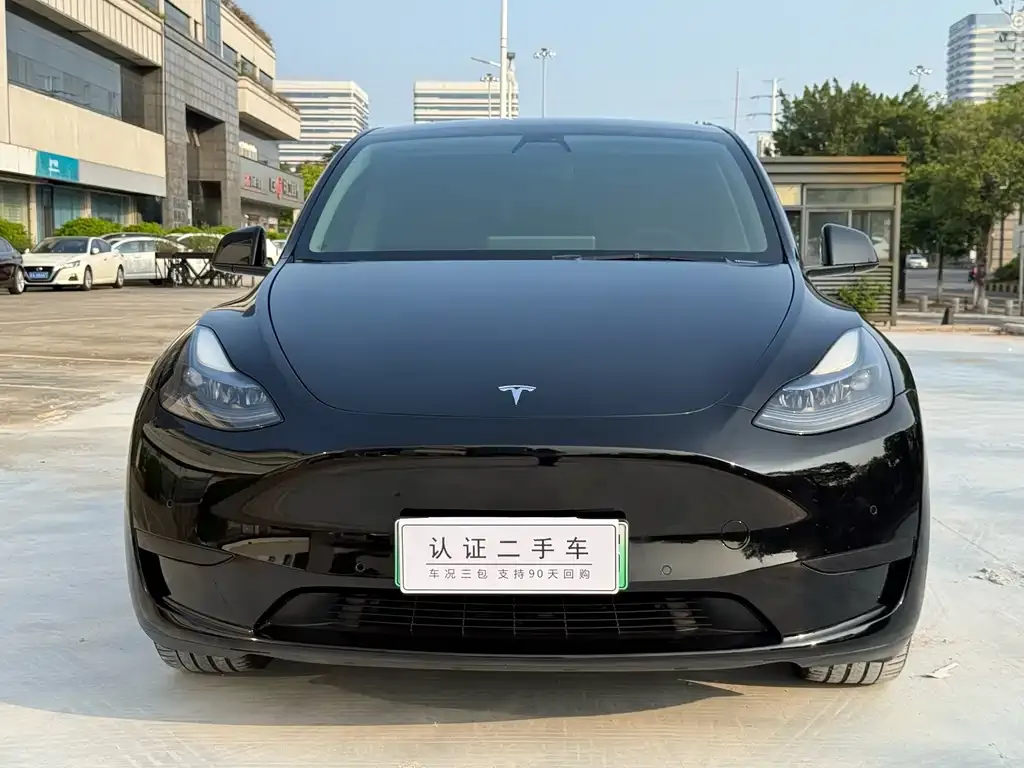 Tesla Model Y — фото 2