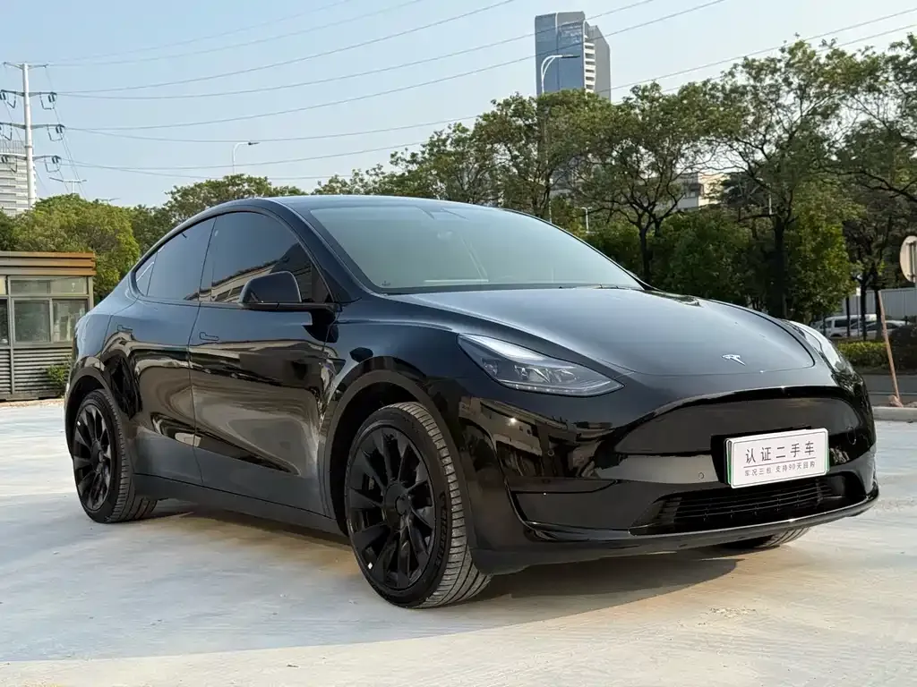 Tesla Model Y — фото 9