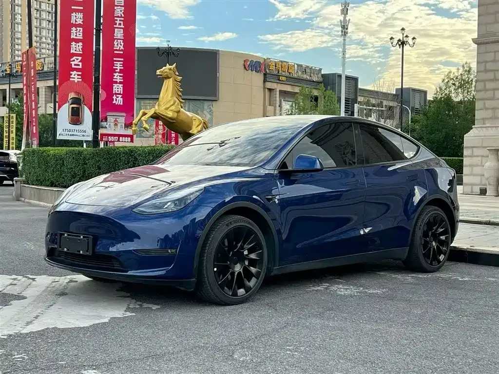 Tesla Model Y — фото 1