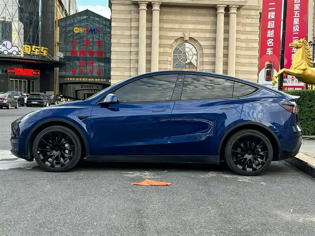 Tesla Model Y — фото 2