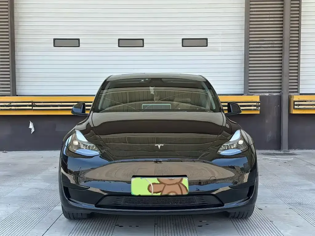 Tesla Model Y — фото 8