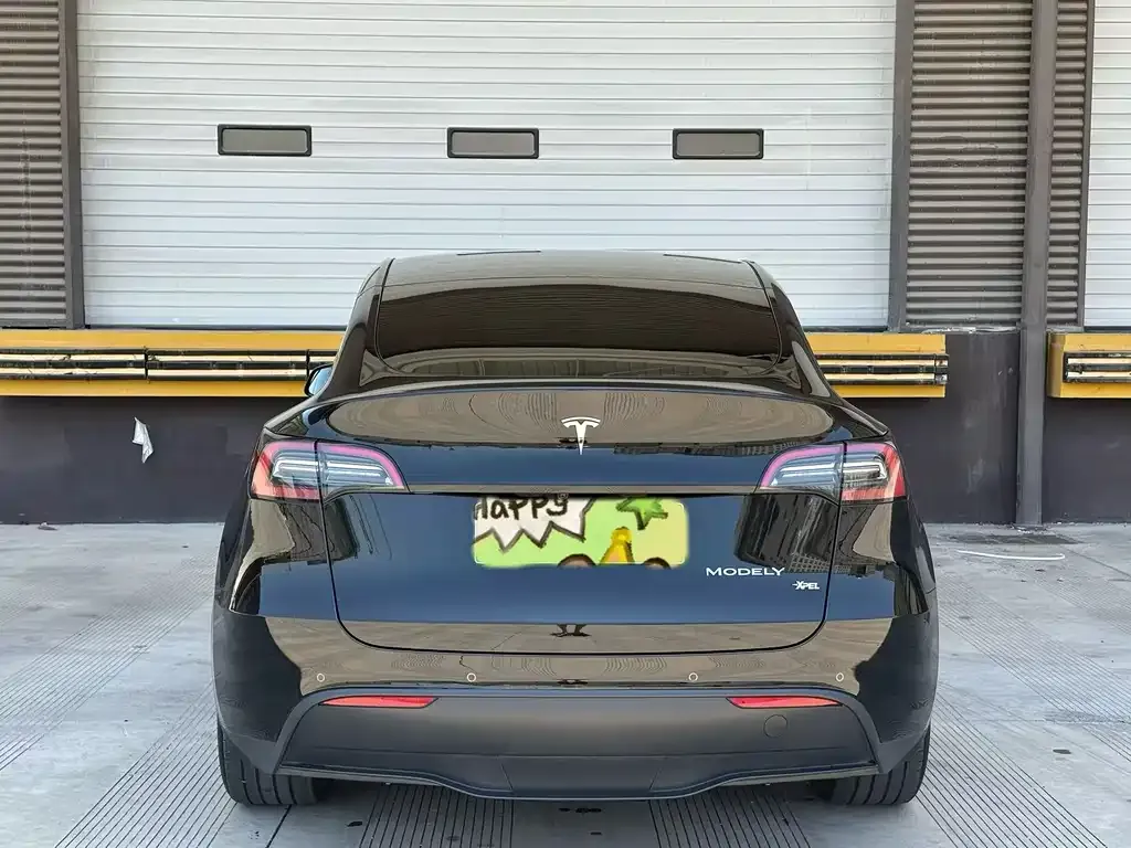 Tesla Model Y — фото 2
