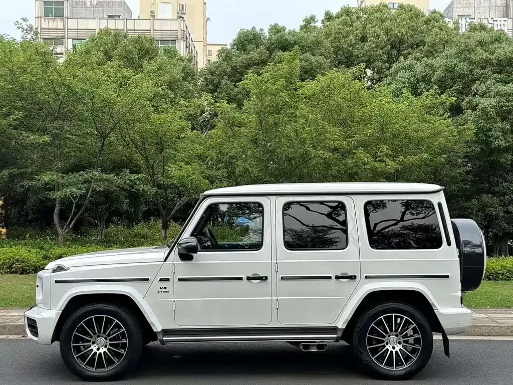 Mercedes-Benz G-Class 2021 из CN, фото 7