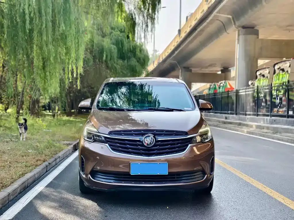 Buick GL8 2022 из CN, фото 8