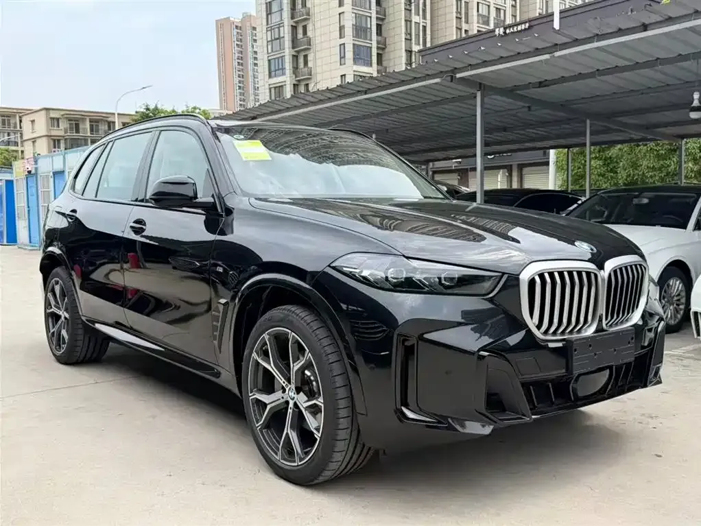 BMW X5 — фото 10