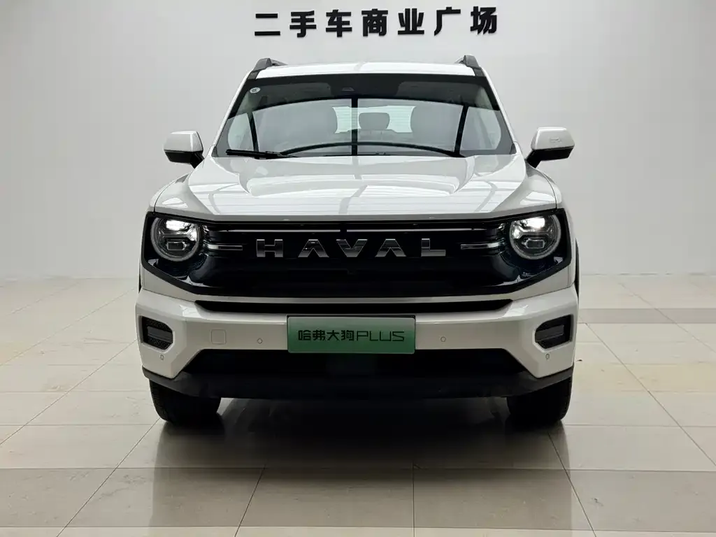 Haval H7 (Big Dog Plus) New Energy 2026 из CN, фото 10