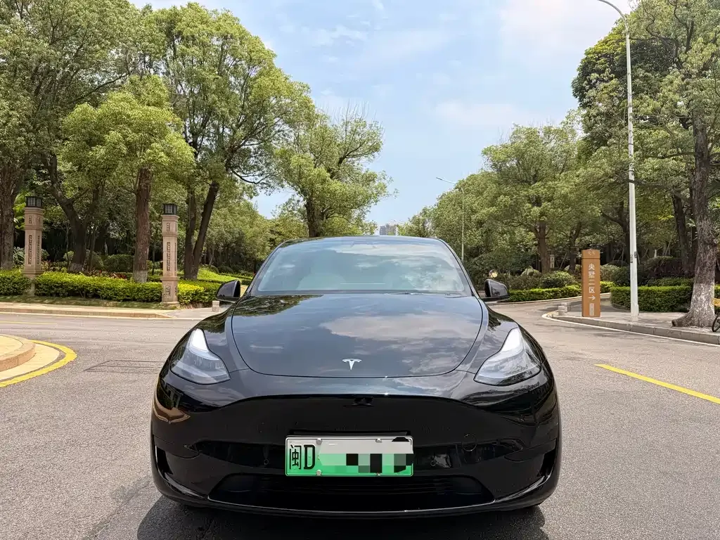 Tesla Model Y — фото 8