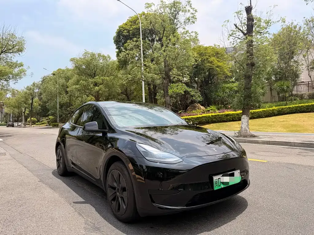 Tesla Model Y — фото 2