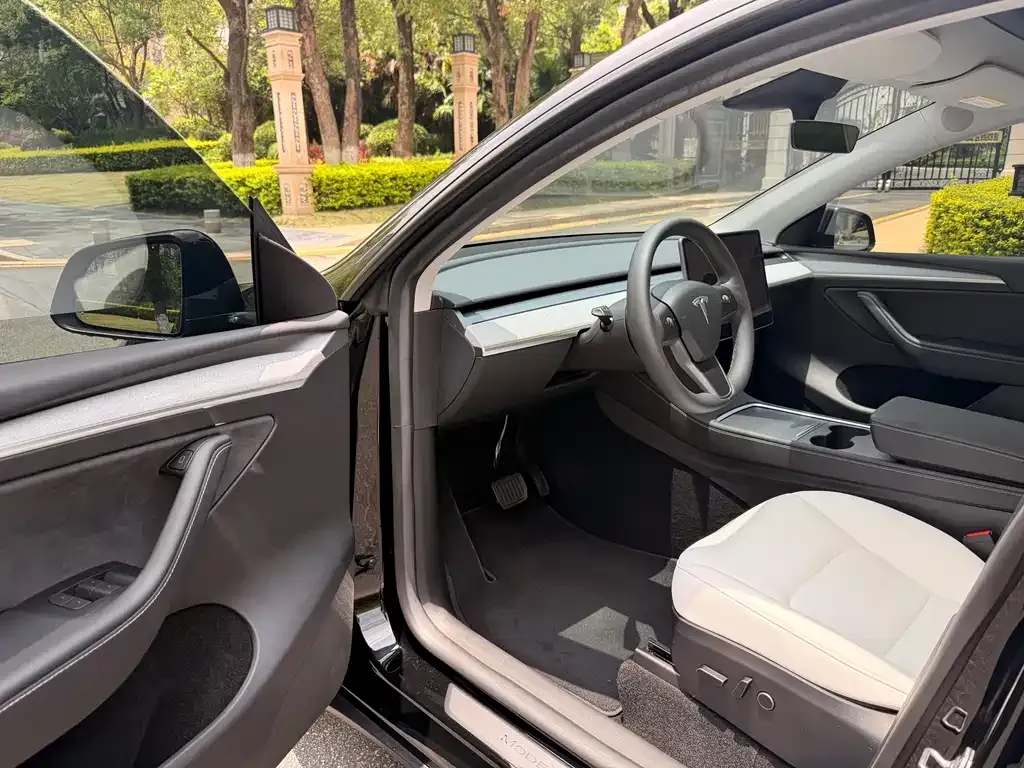 Tesla Model Y — фото 6