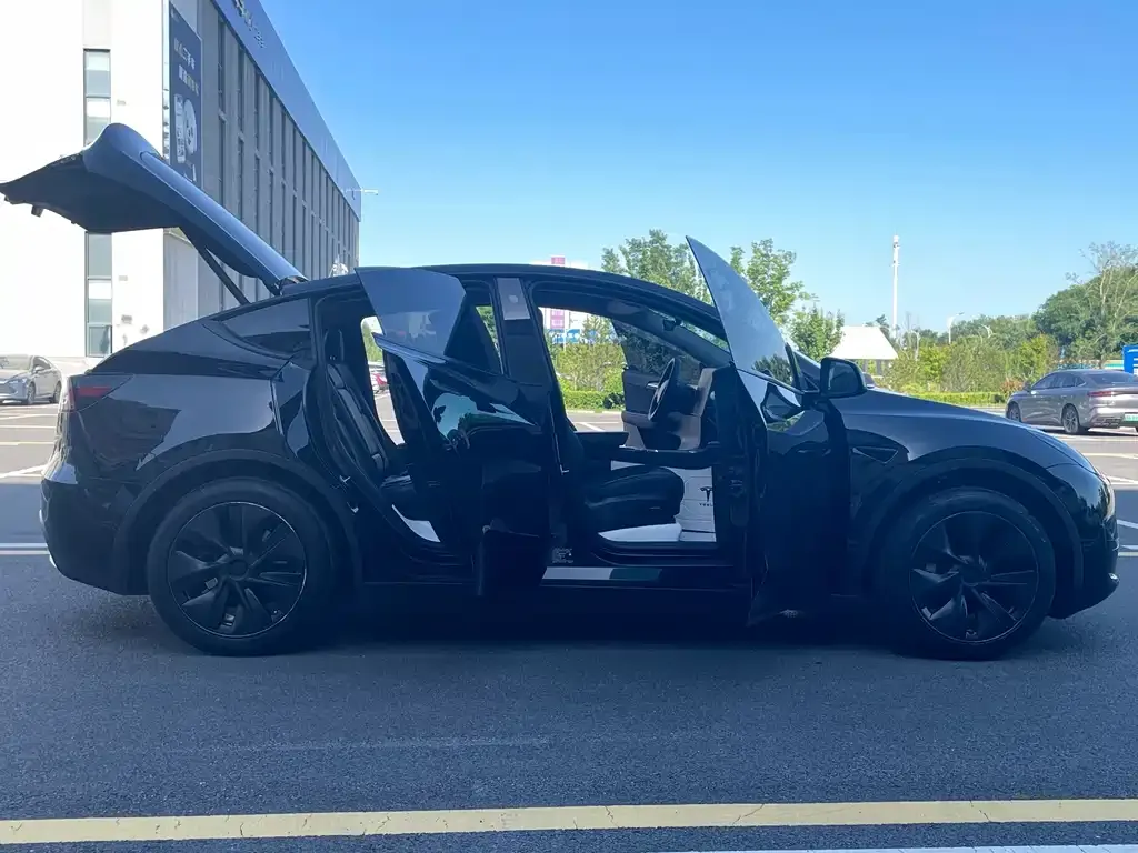 Tesla Model Y — фото 5