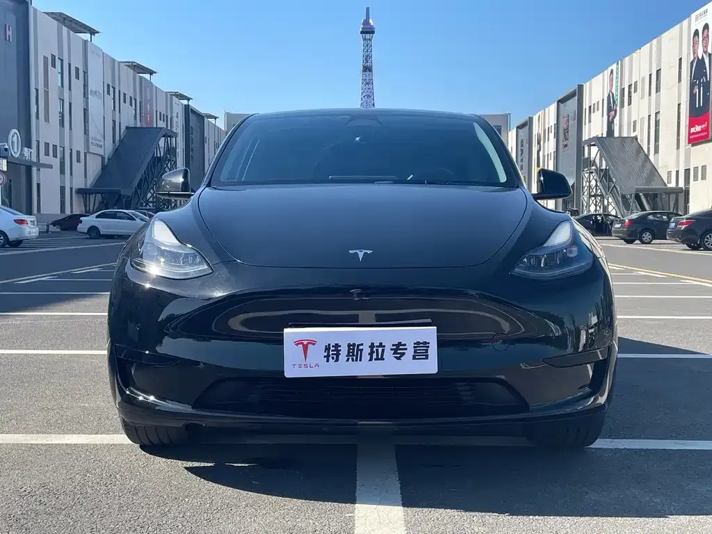 Tesla Model Y — фото 7