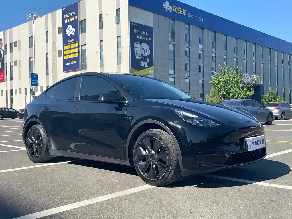 Tesla Model Y — фото 10