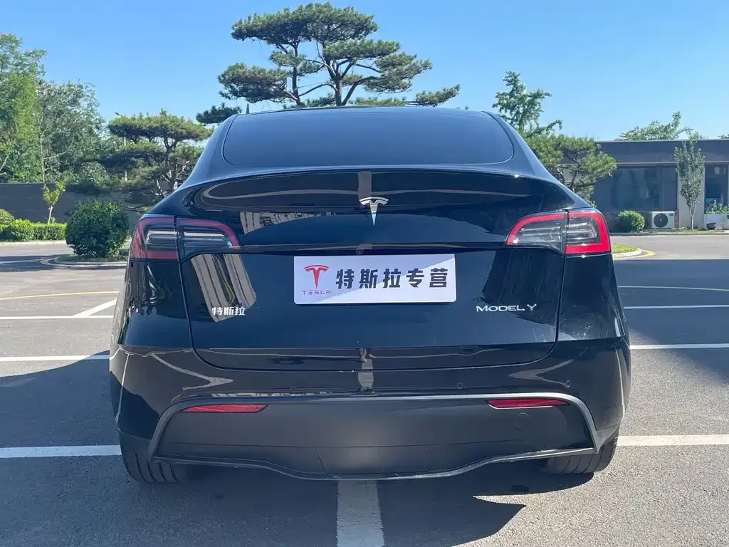 Tesla Model Y — фото 6