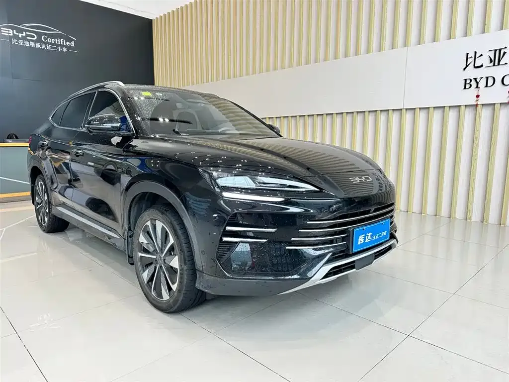 BYD PLUS New Energy — фото 10