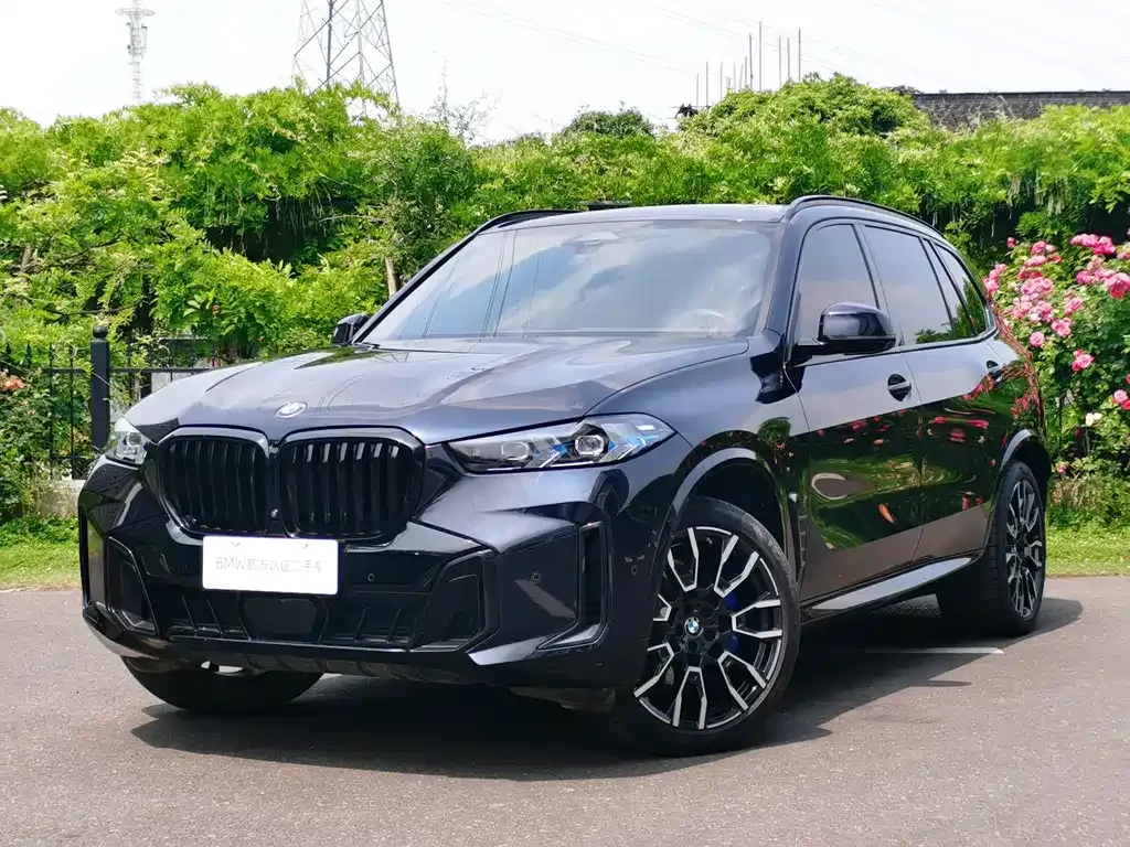 BMW X5 2024 из CN, фото 7
