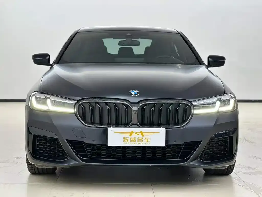 BMW 5 Series (Import) 2021 из CN, фото 3