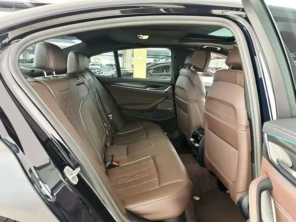 BMW 5 Series (Import) 2021 из CN, фото 9