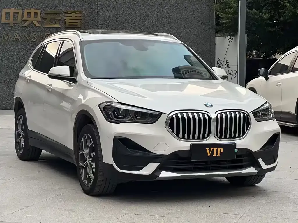 BMW X1 2023 из CN, фото 8