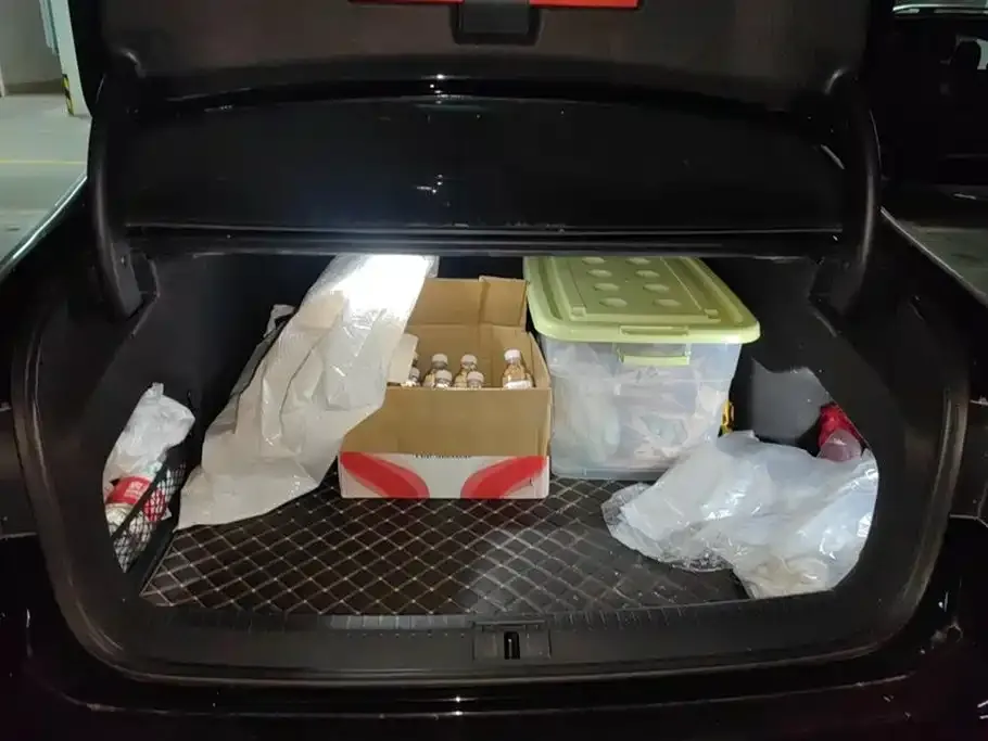 Volkswagen Phideon 2021 из CN, фото 5