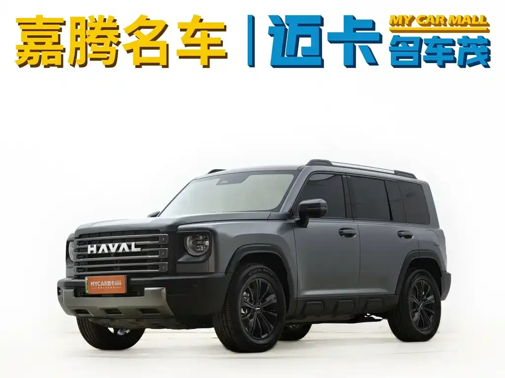 Haval Menglong New Energy — фото 1