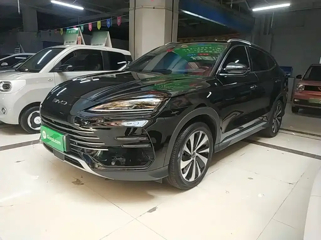 BYD PLUS New Energy — фото 10