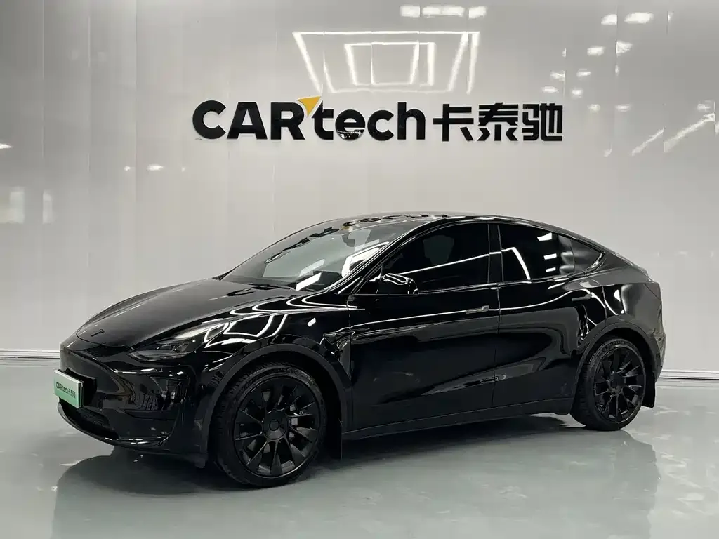 Tesla Model Y — фото 1